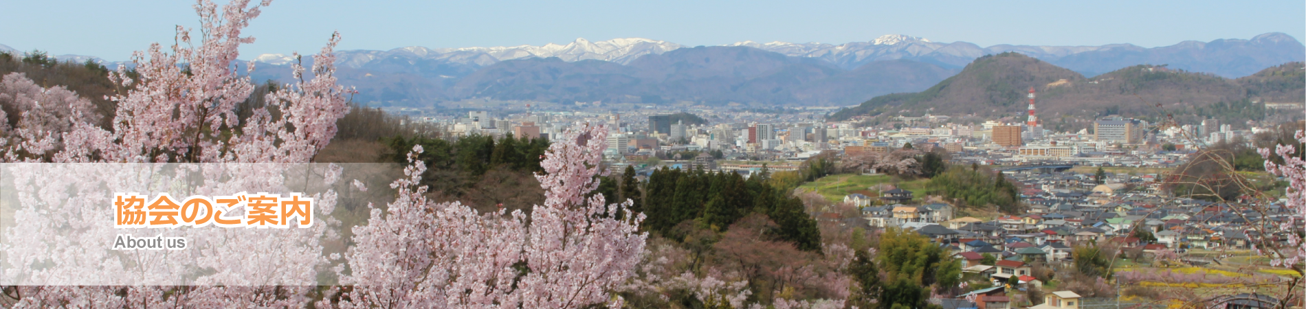 協会のご案内